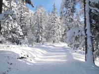 Winterwanderweg1